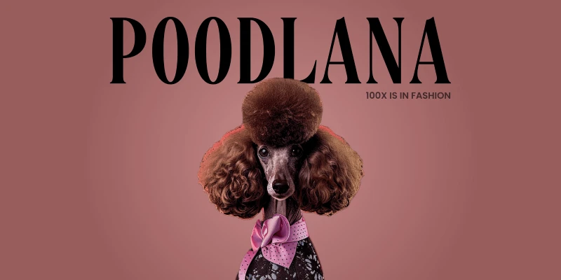 projet poodlana