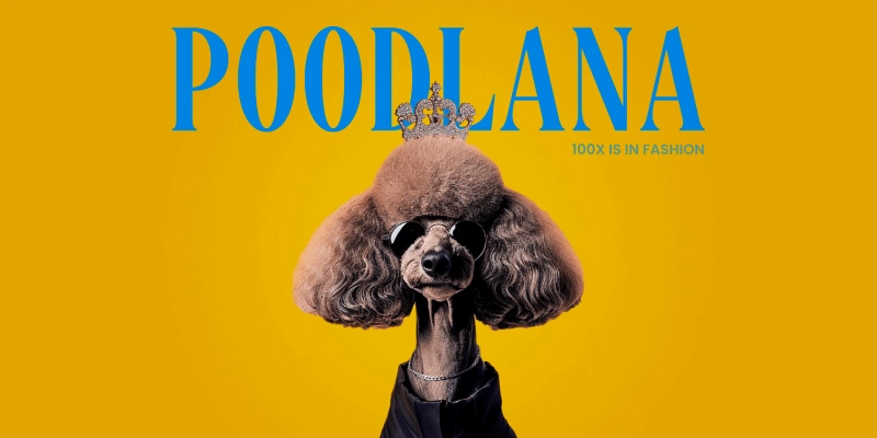 projet poodlana (1)